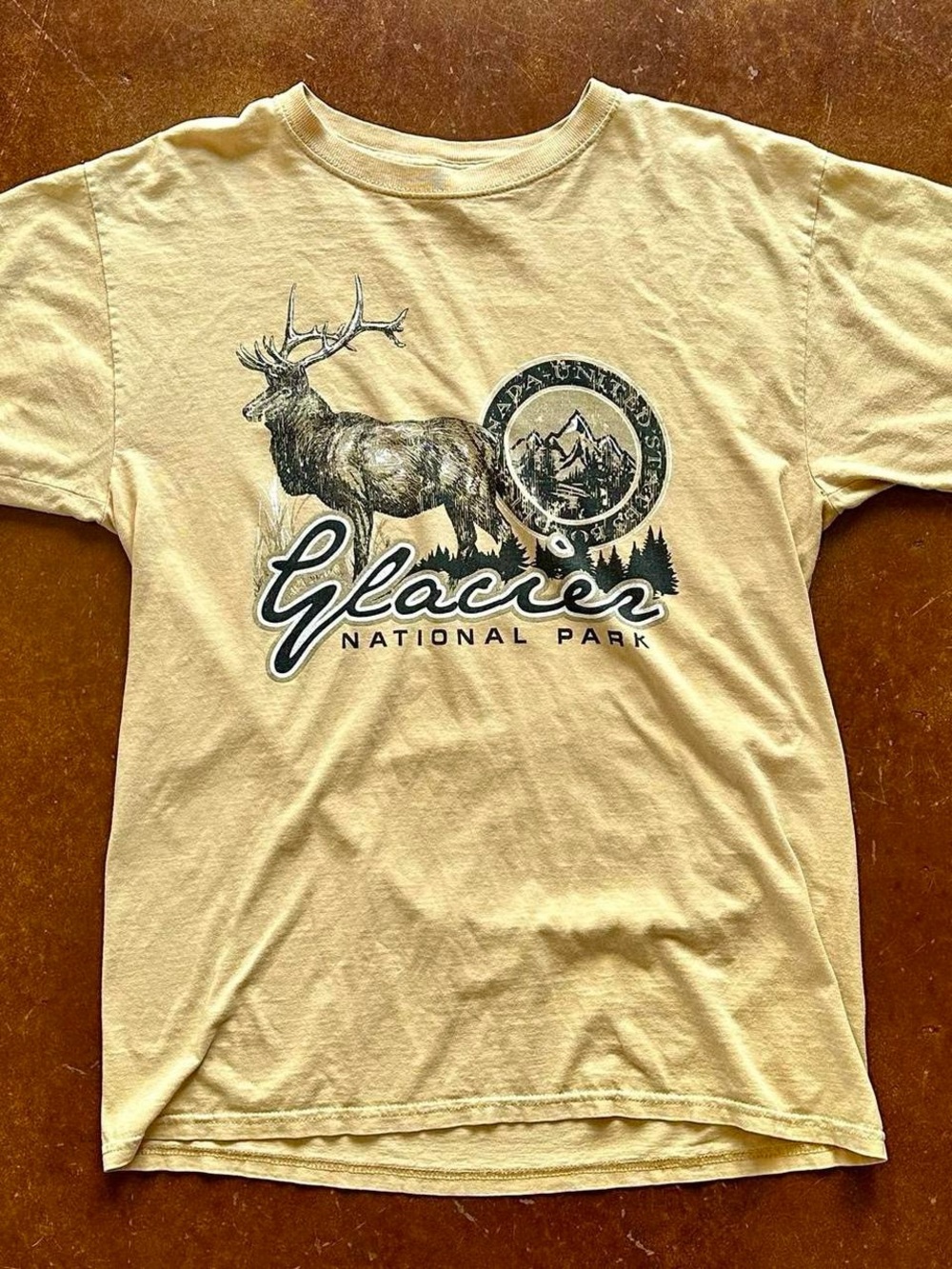 Y2K 2000s Vintage Fruit Of The Loom Glacier National Park Vintage Tee Shirt